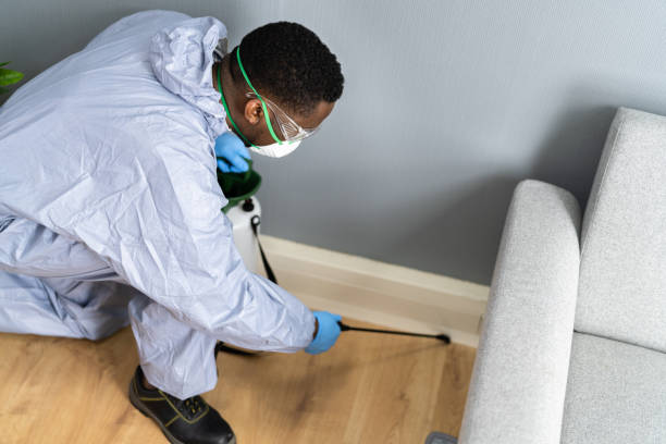 Best Fumigation Services  in Clyde, NC